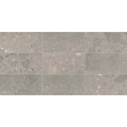 Center City in Arch Grey 24x24 Polished