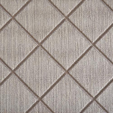 Darwin in Dove Carpet