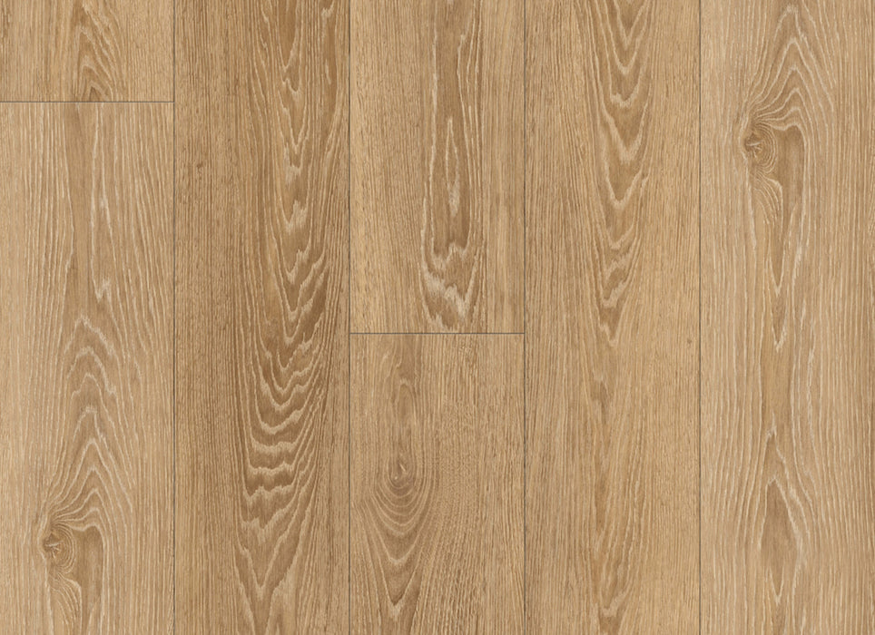 Density RCU Collection in Oak Winter