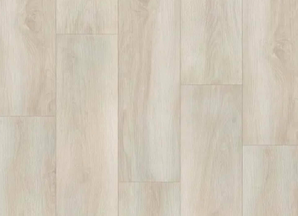 Titan Collection in Malibar