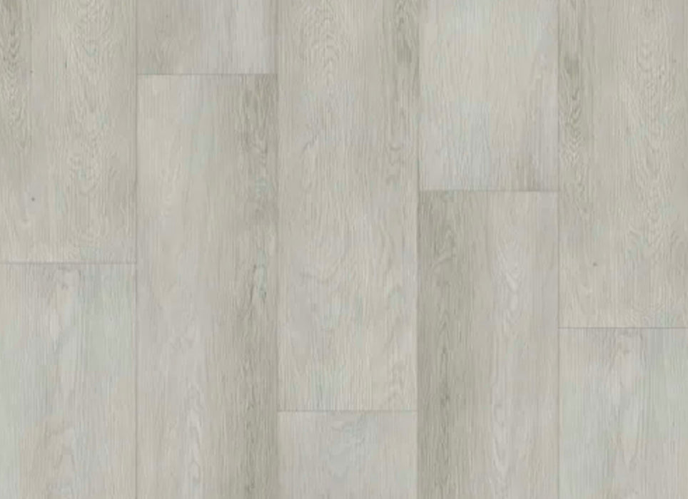 Titan Collection in Acier