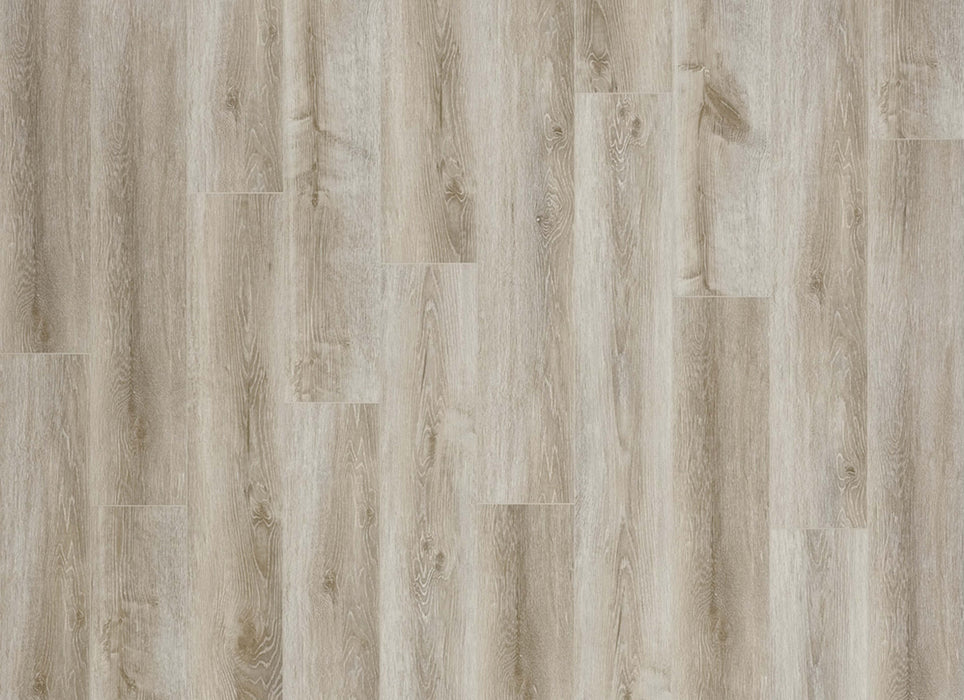 Density Ocean View Collection in Wellington