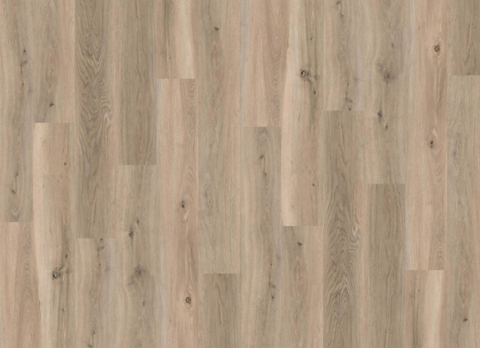 Density Ocean View Collection in Destin