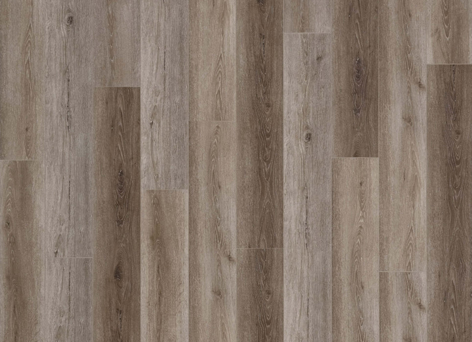 Density Ocean View Collection in Altamonte Springs