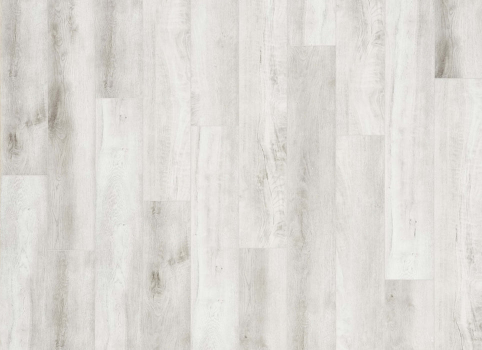 Density Ocean View Collection in Dania Beach