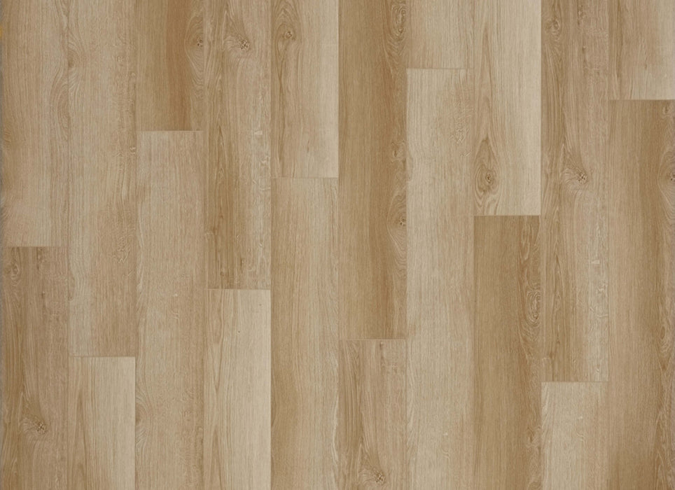 Density Ocean View Collection in Edgewater