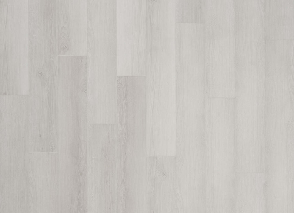 Density Ocean View Collection in Jupiter