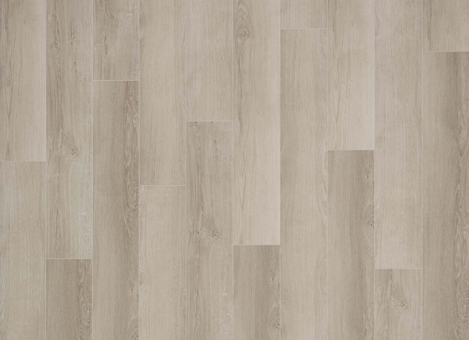 Density Ocean View Collection in Miramar