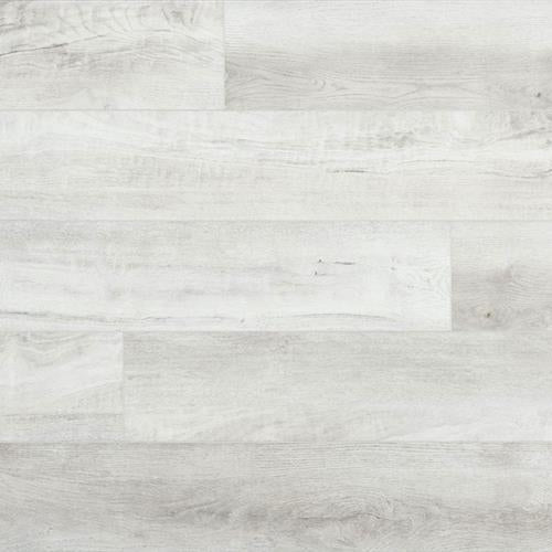 Nuvelle Density Ocean View in Dania Beach