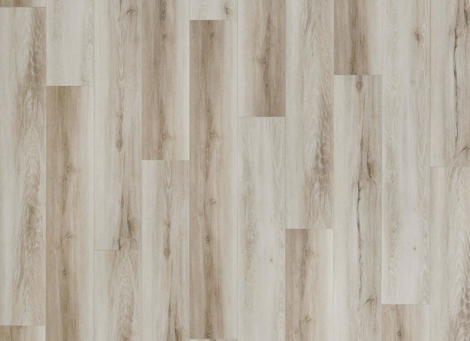 Density XL Collection in Himalayan Salt