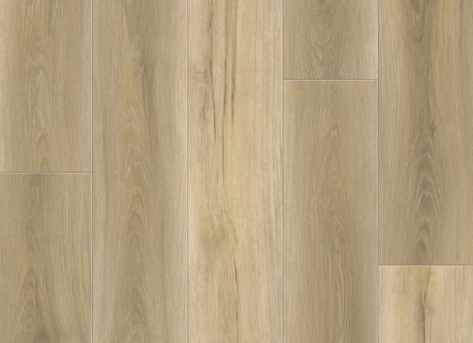 Density XL Collection in Sandy Villa