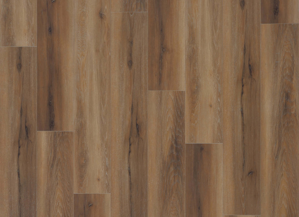 Density XL Collection in Canyon