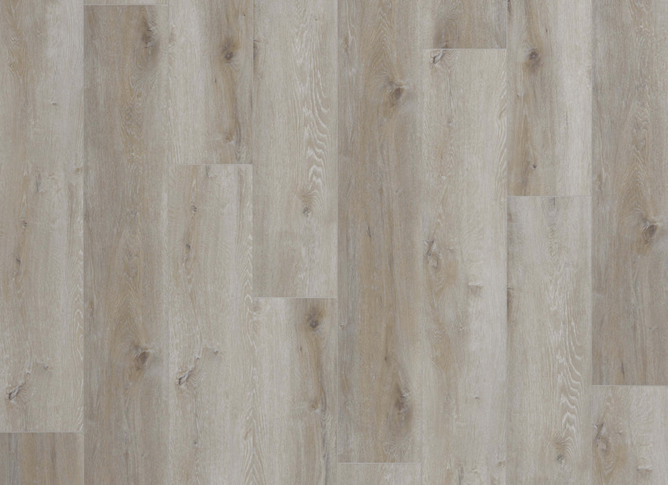 Density XL Collection in Oliva Grove