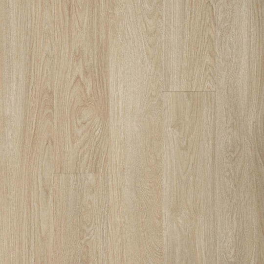 Dodford 20 Db in Bordeaux Oak