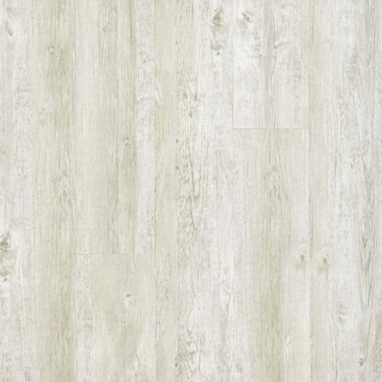 Dodford 20 Db in Merino