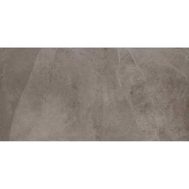 Delegate in Light Grey 12x24 Tile