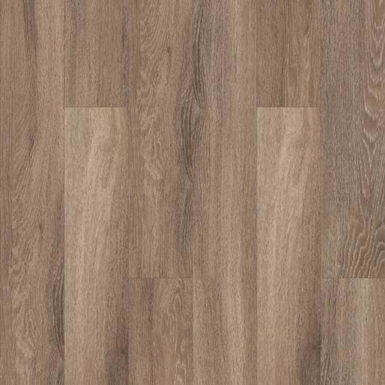 CARRINGTON 6 in Brussels