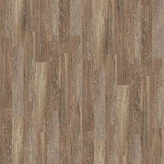 CARRINGTON 6 in Seattle