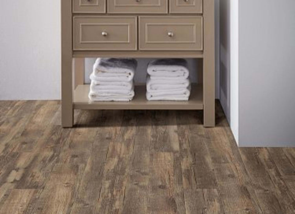 CARRINGTON 6 in Montreal