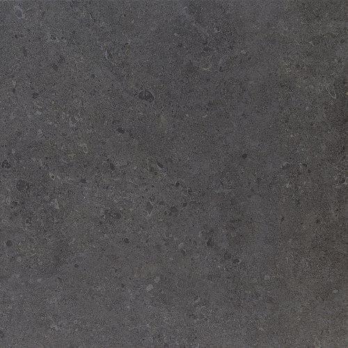 Dignitary in Governor Black 12x24  Tile