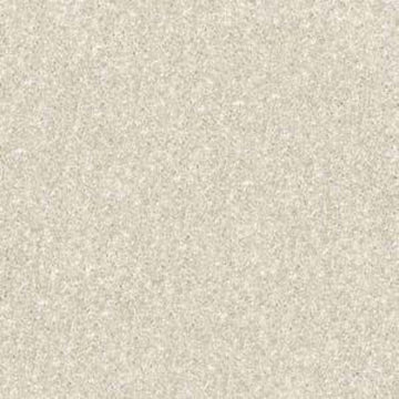 Ivory Tint