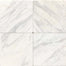Marble Collection in Contempo White 12x12 Polished Natural Stone