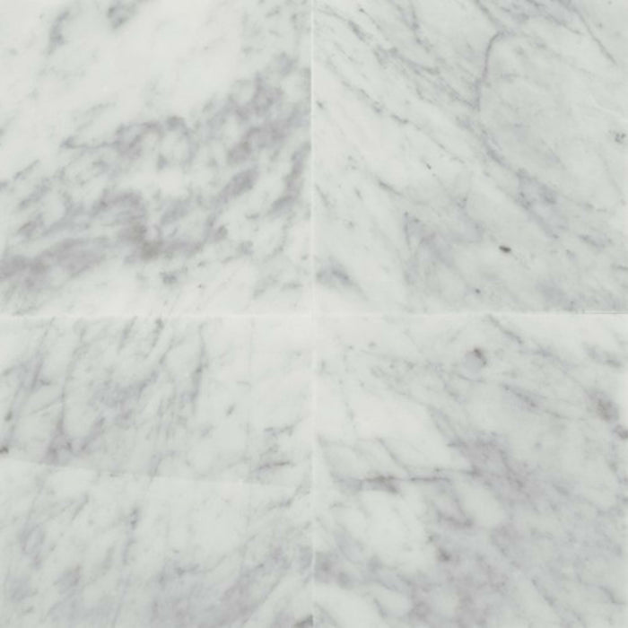 Marble Collection in Carrara White 12x24 Honed Natural Stone