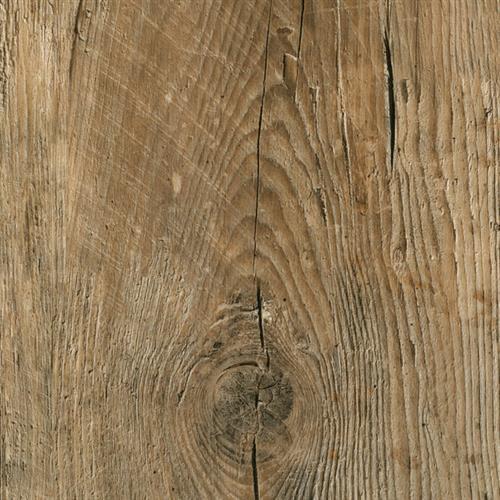 Sinclair Collection in Woodruff