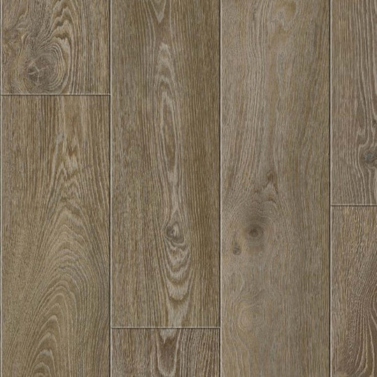 ScratchBoss Collection in Elias