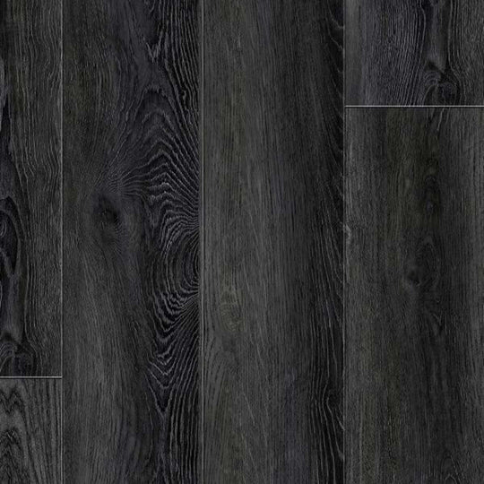 ScratchBoss Collection in Hudson