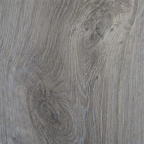 Foundations Collection in Ogden