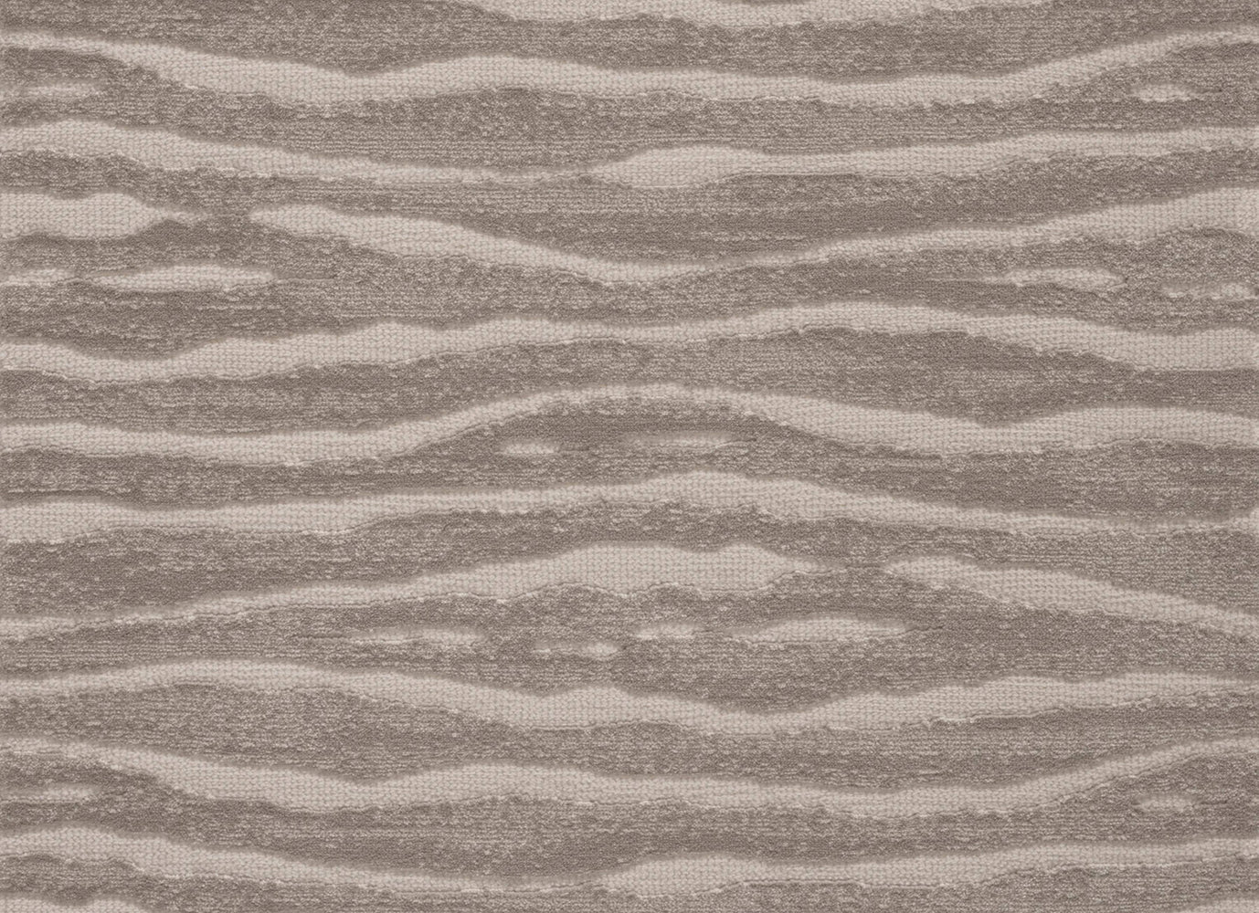 Delineate in Platinum Carpet