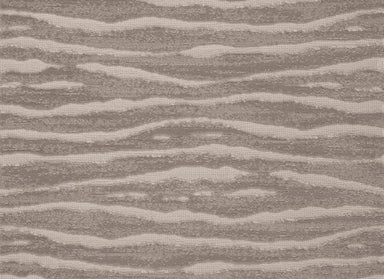 Delineate in Platinum Carpet