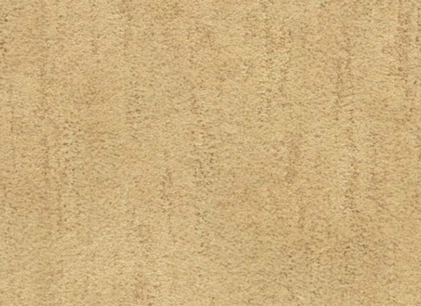 Desert Vista in Sierra Carpet