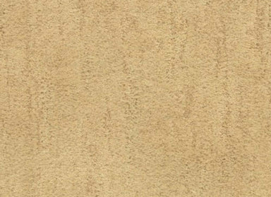 Desert Vista in Sierra Carpet