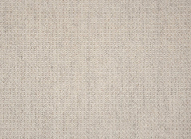 Deva Delight in Platinum Carpet