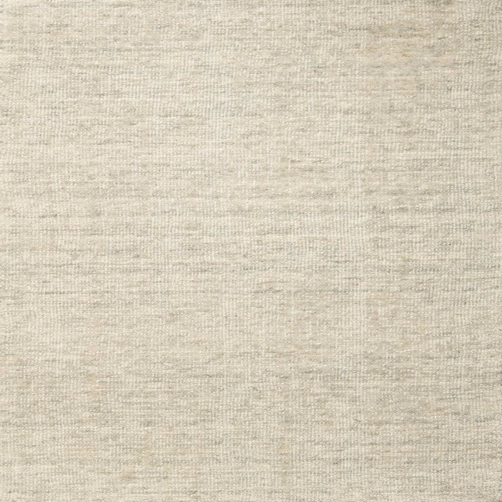 Deva - Platinum in Platinum Area Rugs