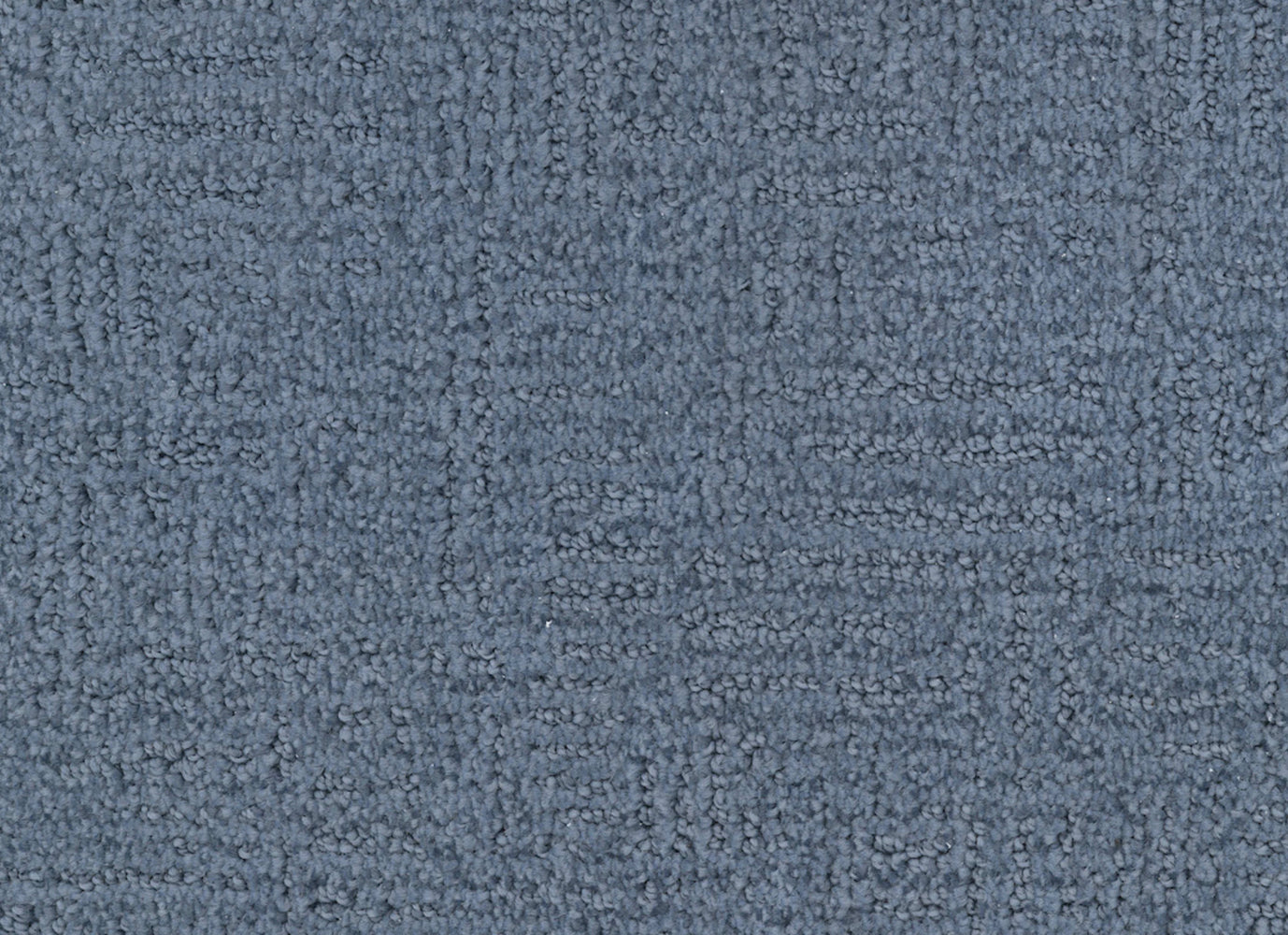 Distinctive in Royalty Carpet