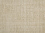 Divinity - Canvas