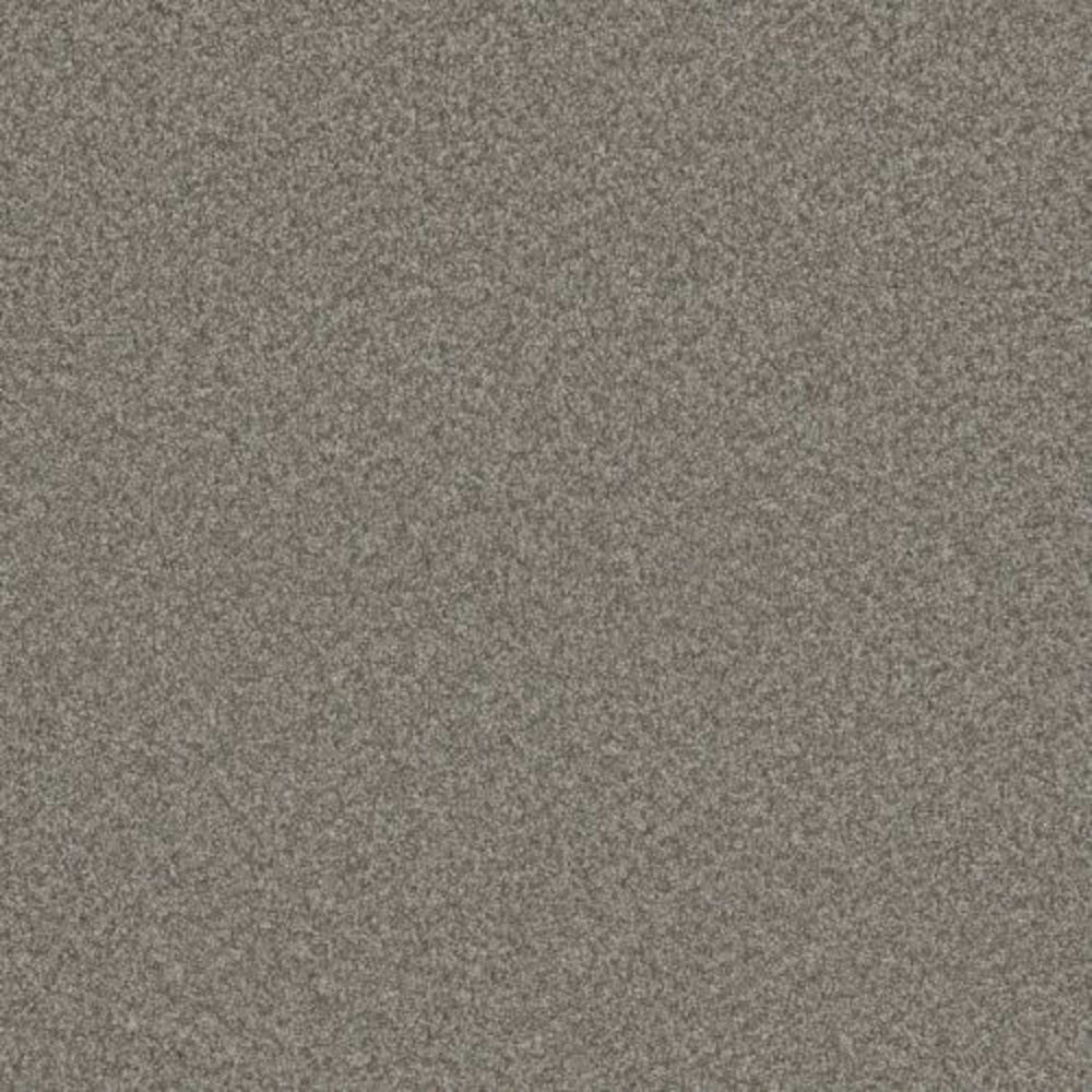 BLAZER I in Dogwood Carpet