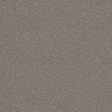 BLAZER I in Dogwood Carpet