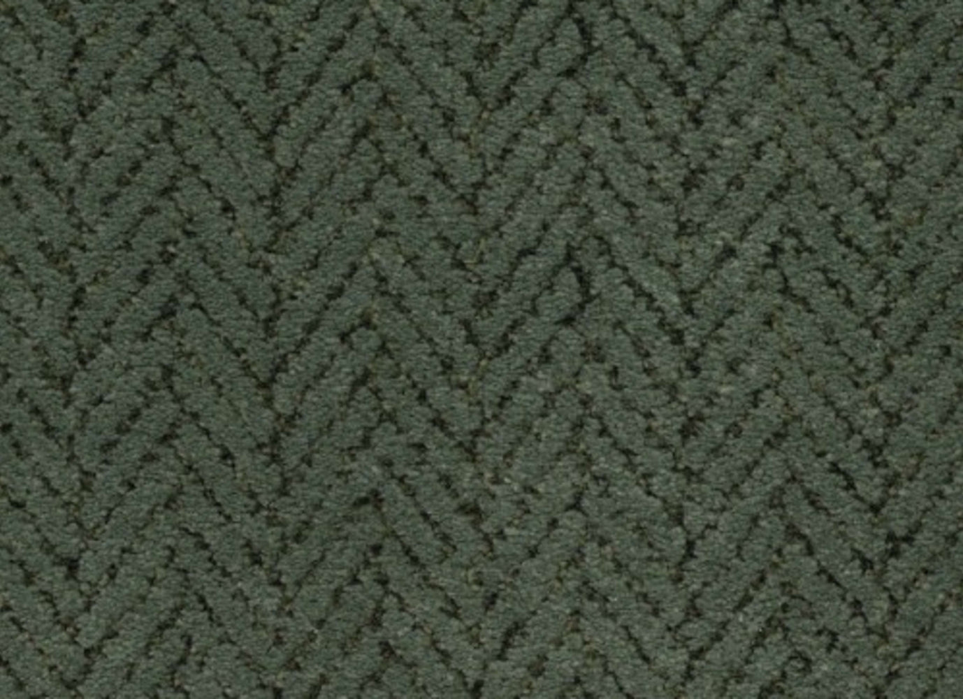 Dover in Evergreen Carpet