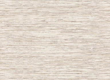 Dubai in Taupe Carpet