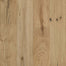 Nature's Canvas White Oak Engineered in Sun Kissed 7.48" Hardwood