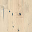 Nature's Canvas White Oak Engineered in Simple Beauty 7.48" Hardwood