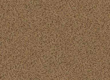 Element in Gold Carpet