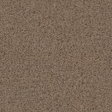 Terrain