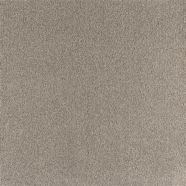 Enchanting in Perfect Taupe Carpet