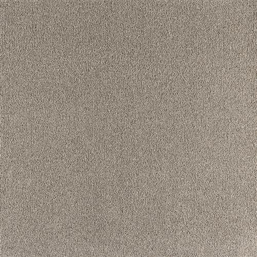Enchanting in Perfect Taupe Carpet