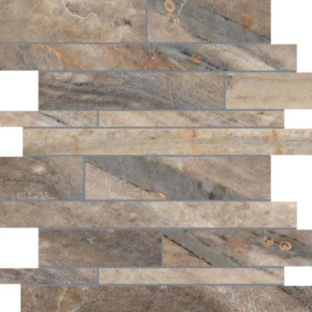 Evolution in Earth Strip Tile